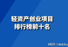 创业项目排行榜前十名,十大热门领域深度解析